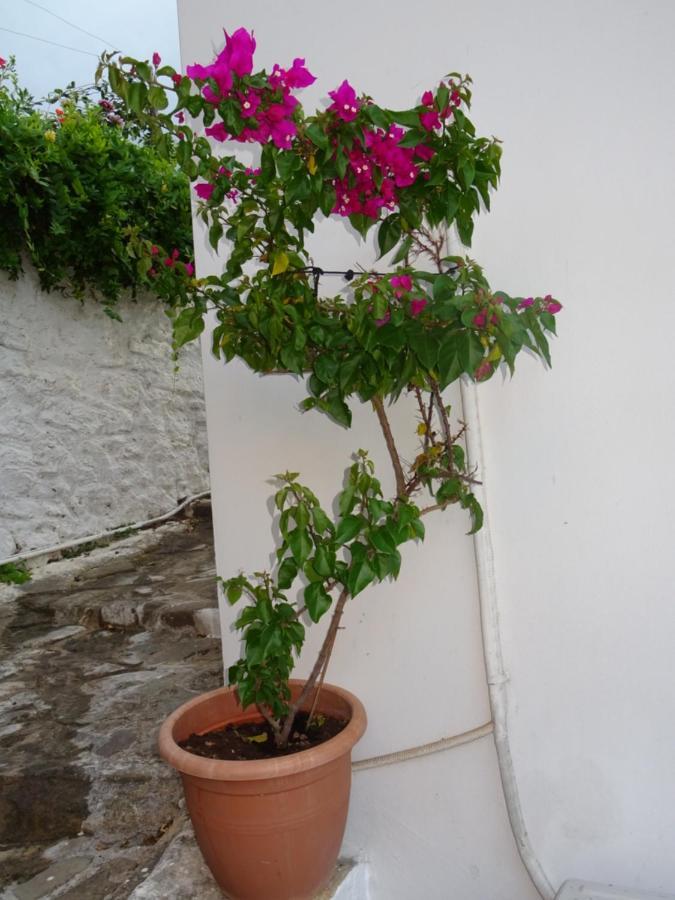 Villa Fotis House à Koróni Extérieur photo